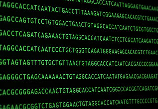 decorative image showing genomic sequencing