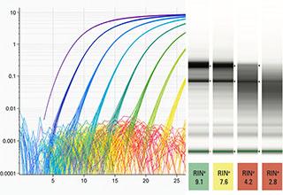 example of a quality control graph