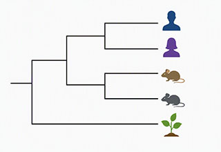 decorative graph of whole genome sequencing