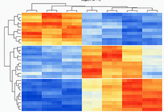 Graph showing Transcriptome profiling